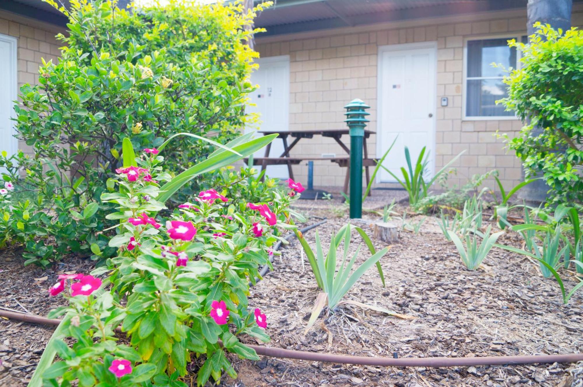 Jacaranda Country Motel Saint George