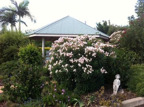 Motel Jacaranda Country